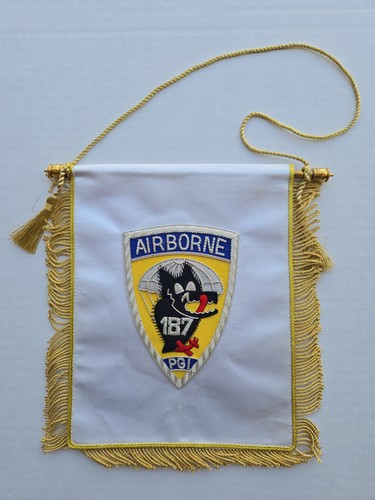 187th airborne regiment - 187th,